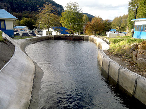 Водоемы, каналы и резервуары